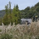 파주로-숲속노을로 교차로(2) | 핀수목원 큐어프로그램 짙어가는단풍 파주 나들이 구절초치유의숲 자연속힐링산책 당일치기 데이트...