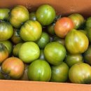 덕우농장 이미지