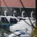 공지천 에디오피아 이미지