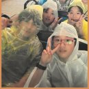 동광태권도 이미지