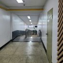 양재시장 육교 밑 | 다양한 꽃 저렴한 가격에 구매 가능한 서울 양재꽃시장 운영시간 토요일 방문 후기