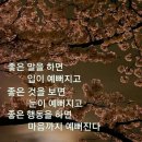 생각대로
