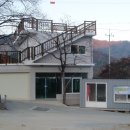 노디목
