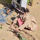 진영장등초등학교 이미지