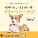 반하다펫 이미지