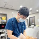덕신침구 | 서울 월곡동 동물병원 고양이 피부사상균증 치료가 오래 걸리는 이유와 꼭 필요한 관리법