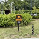 모래 공중화장실 이미지