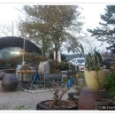 구일농장 이미지