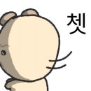 두바이PC 이미지