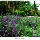 새암공원(3) 이미지