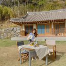 강릉 여행지 핫플 | 한옥 팜크닉 르꼬따쥬 예약 후기