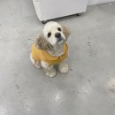 멍과자점 이미지