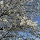 씨유 파주두포리점 이미지