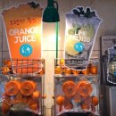 케이프유니스 이미지