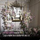 가야대역(1번출구 옆) | 선릉 웨딩홀 추천｜르비르모어 방문 후기 + 견적 정보 (27년 1월 예식 계약 했어요 ㅎㅎ )