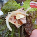 황박사왕족발보쌈 티스토리