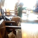 아이러브퍼피 이미지