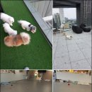 두리몽실