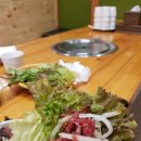 배부른돼지 이미지