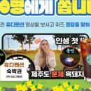 퀴즈펜션 이미지