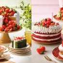 (주) 더홈카페 이미지