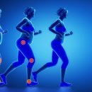 더 케이 짐 이미지