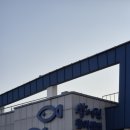 공원회센타 | 울산 동구 대왕암공원 근처 회 포장 추천 방어진 활어센터 14번 내돈내산후기