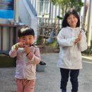 25년 4월 네번째 육아일기 아픈남매