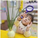 재크와콩나무어린이집 이미지