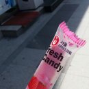 웍 앤 누들 이미지