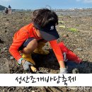 오조리사무소 주차장 | 성산조개바당축제 주차 갯벌체험 문경수와 꼬마탐험대 후기