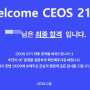 [CEOS] 세오스 21기 합격 후기 :: 백엔드 서류, 면접