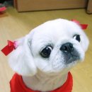 묭