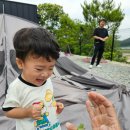 전남 깔끔하고 세련된 고흥 디캠 캠핑장🏕 아기랑 다녀온 후기