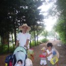 가정농장 이미지