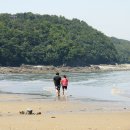 영흥도 갤러리 이미지