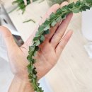 장식당 - 의성군 봉양면 | 웨딩 플라워 연출 완성도 높이는 법, 웨딩 장식 실습 후기