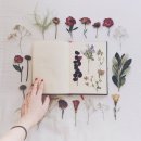 햇살플라워 이미지