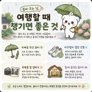 씨유강릉문화점 | 봄비 오는 날 걷기 좋은 읍내 여행지 5곳｜조용한 골목 산책 국내 여행 추천