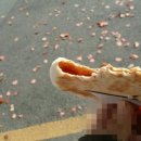 옛날전통호떡 이미지