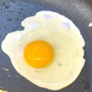 주식회사 환원 | 자연방사 유정란 난각1번, 믿고 먹는 고품질 양계장청년 유정란 후기