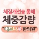 양산버드나무한의원 네이버블로그