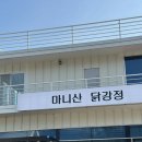 강화도 맛집 마니산닭강정 후기