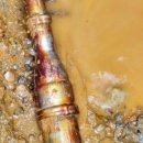 극단 청솔 이미지