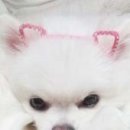 크라운하우스 이미지