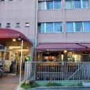 도쿄 아사쿠사 게스트하우스 숙소 사쿠라 호스텔 SAKURA HOSTEL 혼성도미토리 후기
