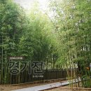 달콤냥 | [전주 가볼만한곳,여행] 경기전 - 대나무숲♡