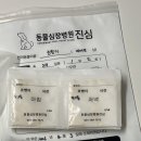 동물심장병원 진심 | 천안 두정동 ‘동물심장병원 진심’ 재진 후기/강아지 약먹이기/투약보조제 추천