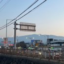 산동농협 동로마트 | 제주 이재모 피자 제주점 방문 후기｜부산 3대 피자 맛집, 아이와 제주 여행