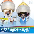 한송아헤어
